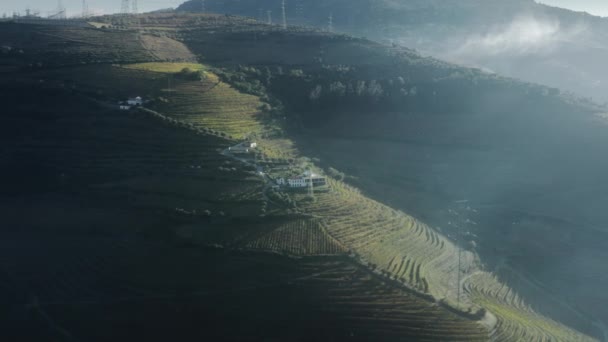 Terras em terraço de vinhas que crescem em colinas montanhosas, Peso da Regua, Portugal — Vídeo de Stock