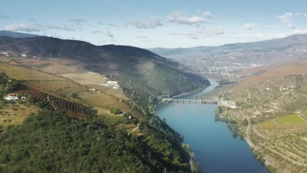 Řeka Douro se zelenými kopci pokryla vinice Peso da Regua, Vila Real