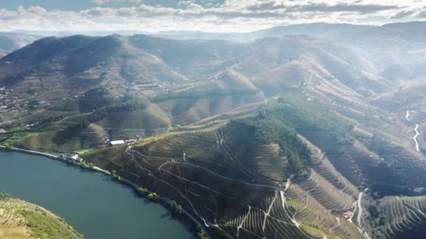 Góry pagórkowate z plantacją winnic Peso da Regua, Vila Real, Portugalia — Wideo stockowe