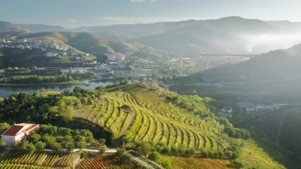 Landsbygdslandskap med vingårdsplantager belägna på Peso da Regua stad — Stockvideo