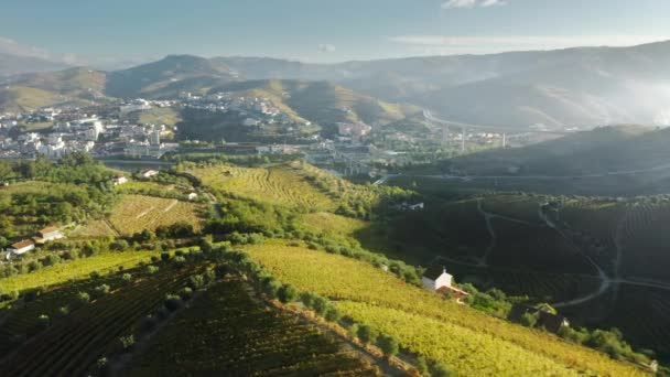 Будинки Песо - да - Регуа оточили зелені гори Віла - Реаль (Португалія). — стокове відео
