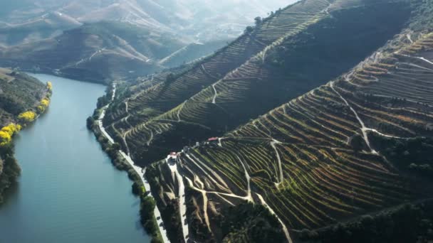 Montagne ricoperte di filari di vigneti sulle rive del fiume Douro, Peso da Regua — Video Stock