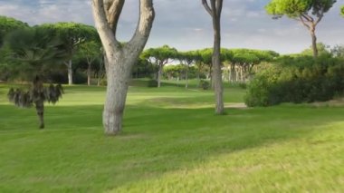 Resmin havadan görünüşü, bitkilerle dolu yemyeşil çayırlar.