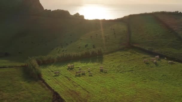 Съемка с воздуха зеленых скал вулканического острова — стоковое видео