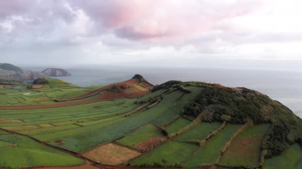 Prado verde, lavado com o oceano e pôr-do-sol atrás — Vídeo de Stock