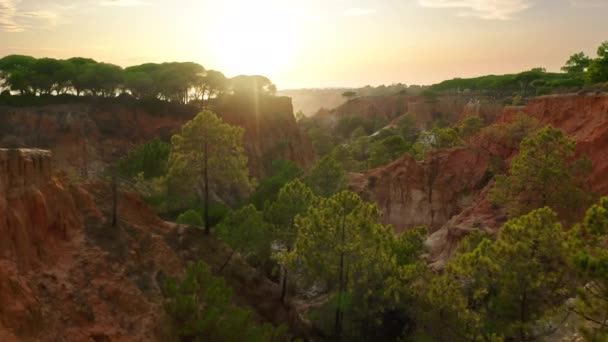 Съёмки с воздуха красивой природы на закате — стоковое видео