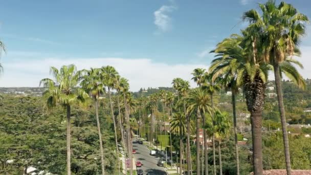 Drone volando sobre la icónica calle bordeada de palmeras de Los Ángeles en Beverly Hills 4K — Vídeos de Stock