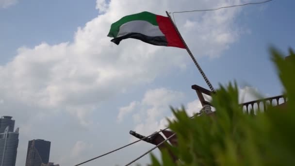 Birleşik Arap Emirlikleri, çim arka plan bayrak — Stok video