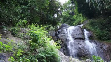 şelale, tropikal orman, Tayland