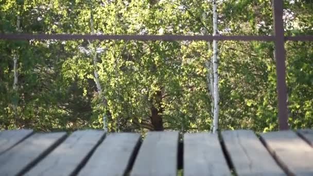 Pie Pasos sobre el fondo de la naturaleza. Hombre y mujer caminando — Vídeo de stock