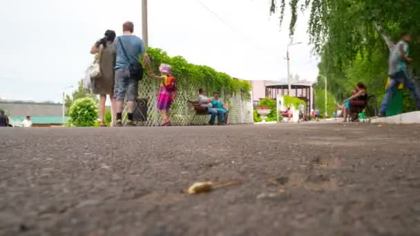 Roev Ruchey Hayvanat Bahçesi'ne yürüyen insanlar, zaman atlamalı — Stok video