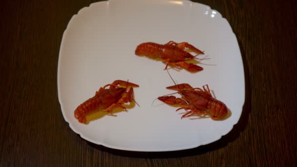 Boiled Crayfish On The Plate — Stock Video