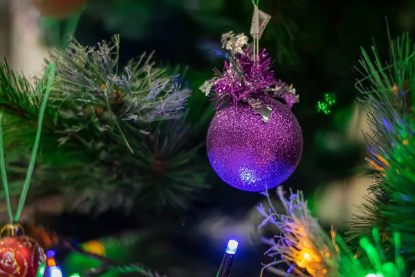 Juguete Árbol Navidad Una Rama — Foto de Stock