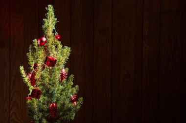 Fir Noel oyuncaklar ile 