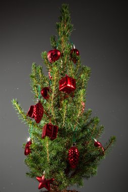Noel ve yılbaşı süsleri ve parlak highli ile Ladin
