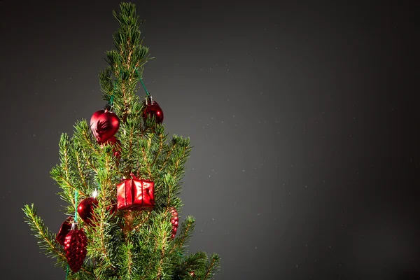 Navidad y Año Nuevo, abeto con decoraciones y highli brillante — Foto de Stock