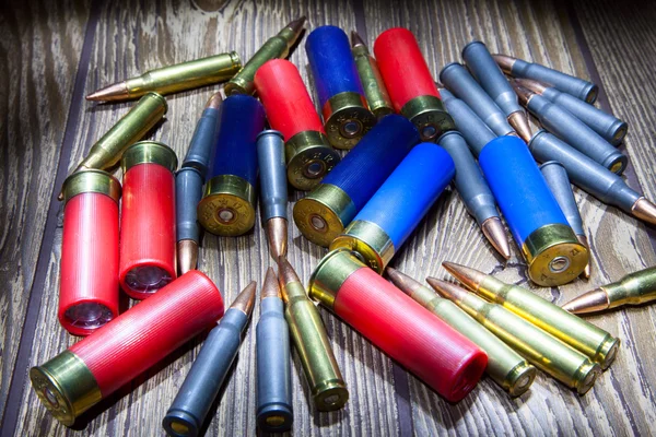 Jakt ammunition — Stockfoto