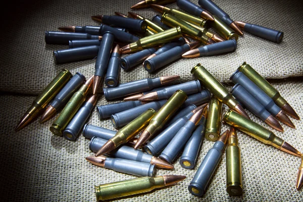 Jakt ammunition — Stockfoto