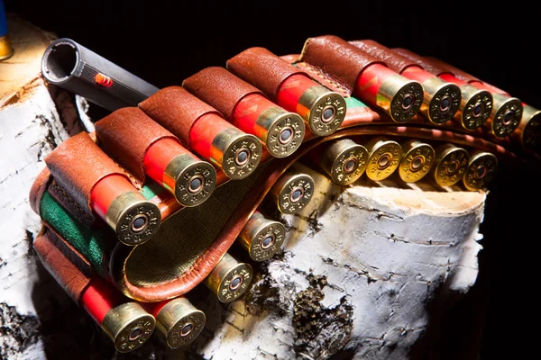 Pistola com cartuchos de caça — Fotografia de Stock