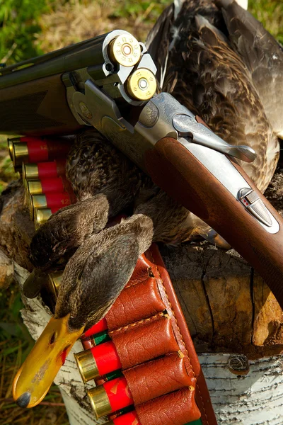 Gun, duck and hunting ammunition — Stock Photo, Image