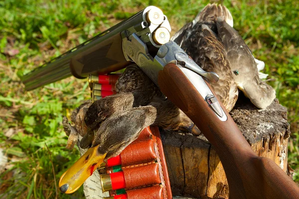 Gewehr, Ente und Jagdmunition — Stockfoto