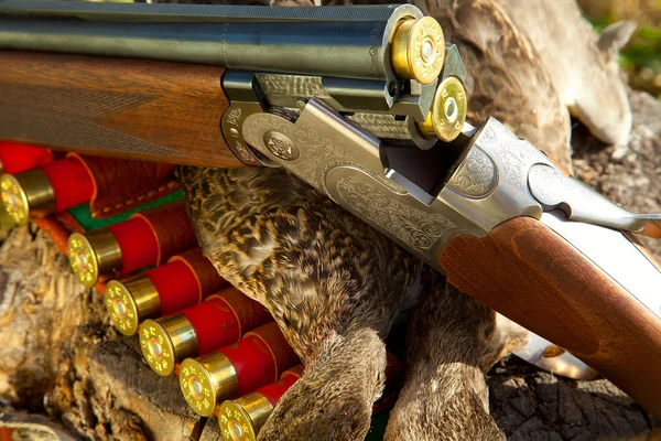 Оружие, утки и охотничьи патроны Стоковое Изображение