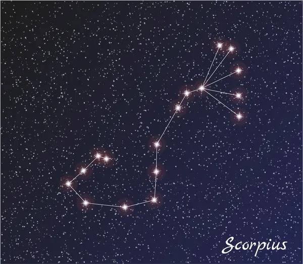 Constellation scorpius — Stock Vector