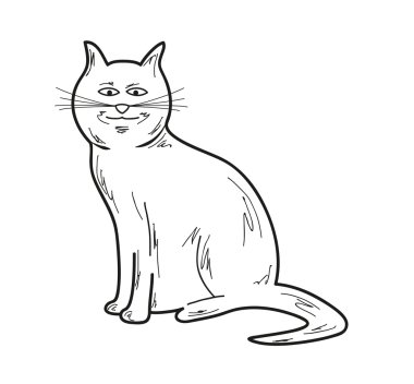 gülümseyen bir kedi