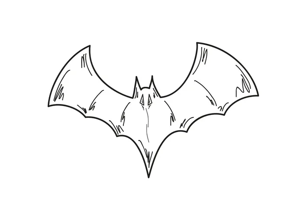 Skiss av bat — Stock vektor
