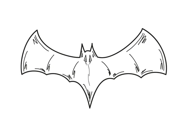 Schizzo del pipistrello — Vettoriale Stock