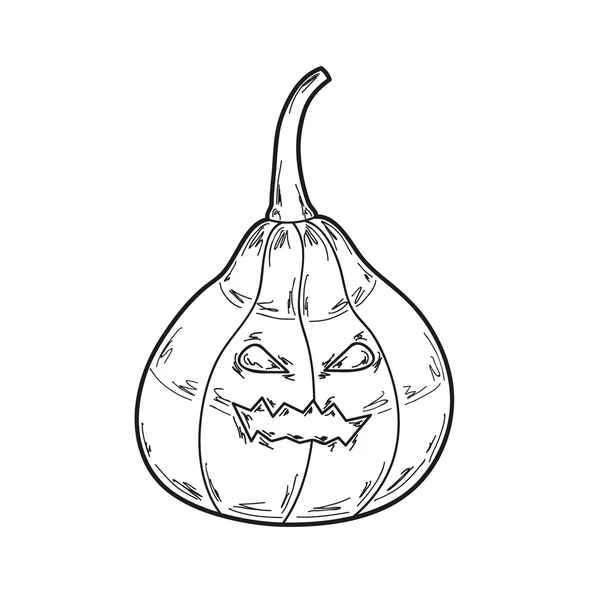 Illustrazione zucca, vettore — Vettoriale Stock