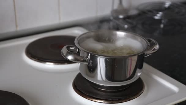 Aardappelen in kokend water koken. — Stockvideo