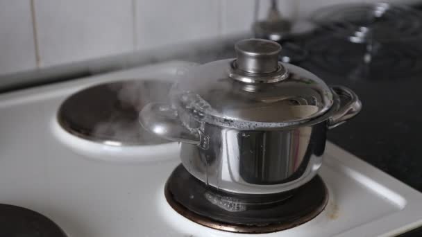 Koken aardappelen in pot met deksel. — Stockvideo