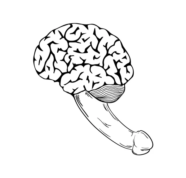 Human brain with penis — Stock Vector