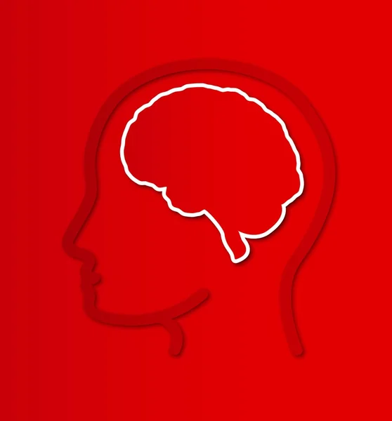 Human brain in head — Stock Vector