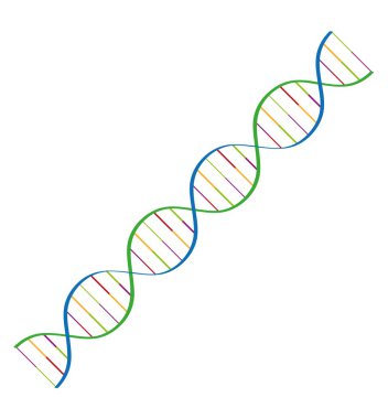 dna spiral