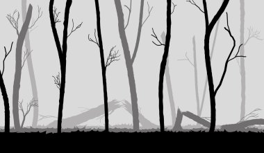 karanlık sis, ağaçlar siluetleri ormanda