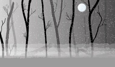 karanlık sis, ağaçlar siluetleri ormanda