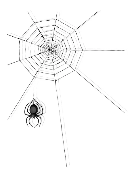 Spinne und Spinnennetz — Stockvektor