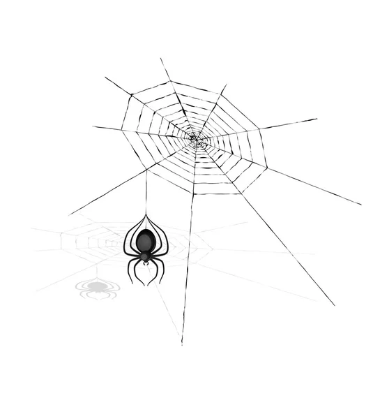 Spinne und Spinnennetz — Stockvektor