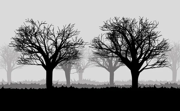 Bosque en la niebla oscura, siluetas de árboles — Vector de stock