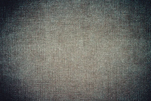 Grunge Leather Fabric Texture Closeup Photo Background — Stock Photo, Image