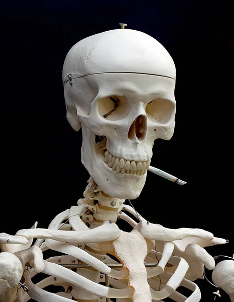 Sigaralı iskelet. Sigara öldürür..