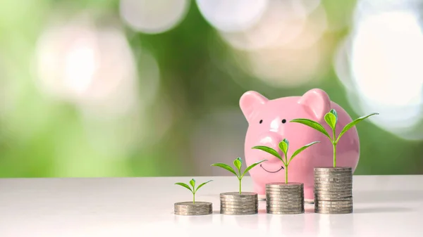 The growing trees on the money stacks include a pink pig piggy bank, money-saving ideas, and own retirement plan.