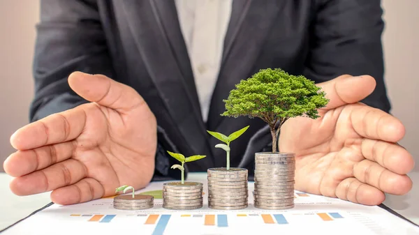 Árbol Crece Montón Monedas Incluyendo Las Manos Inversor Comisariado Gestión — Foto de Stock