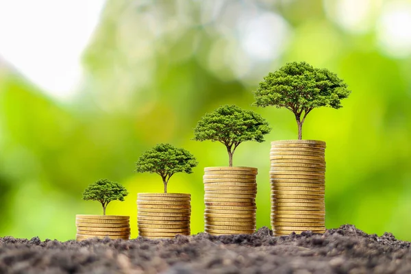 Montón Monedas Con Árbol Crecimiento Parte Superior Moneda Idea Éxito — Foto de Stock