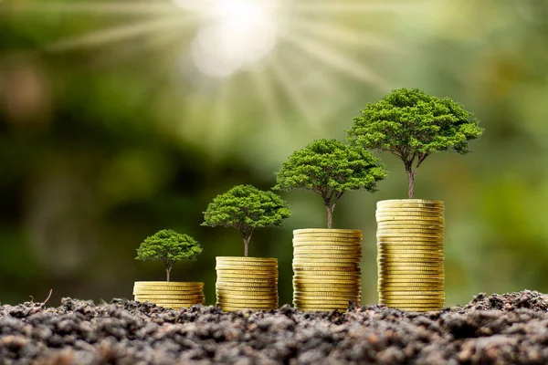Pilha Moeda Com Árvore Crescendo Cima Moeda Ideia Crescimento Dinheiro — Fotografia de Stock