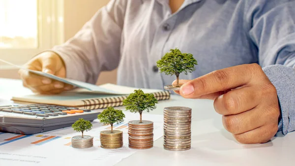 Geschäftsmann Pflanzt Bäume Für Geld Während Rechnungslegungsunterlagen Ideen Zum Geldsparen — Stockfoto