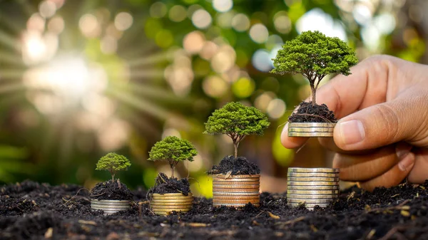 Manos Humanas Sosteniendo Dinero Árboles Creciendo Concepto Crecimiento Financiero Inversión — Foto de Stock