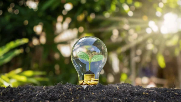 The bulbs are located on the ground with the trees growing with money under the light, concept of energy saving, environmental protection and global warming.